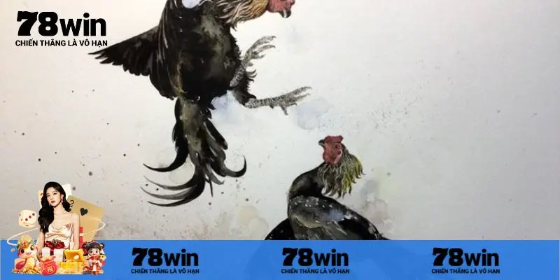 Giải thích về ý nghĩa của trực tiếp đá gà C1