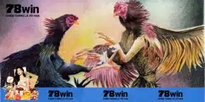 Mẹo cá cược trực tiếp đá gà C1 như một chuyên gia